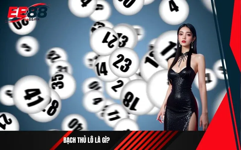 Bạch thủ lô là gì