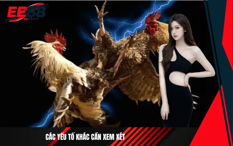 _Các yếu tố khác cần xem xét