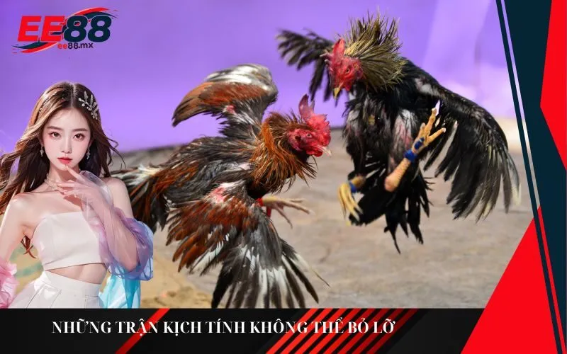 Những trận kịch tính không thể bỏ lỡ